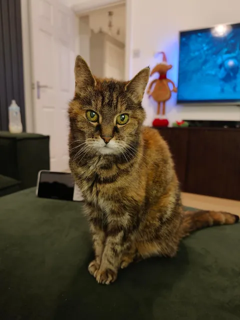 This girl turns 24 next month