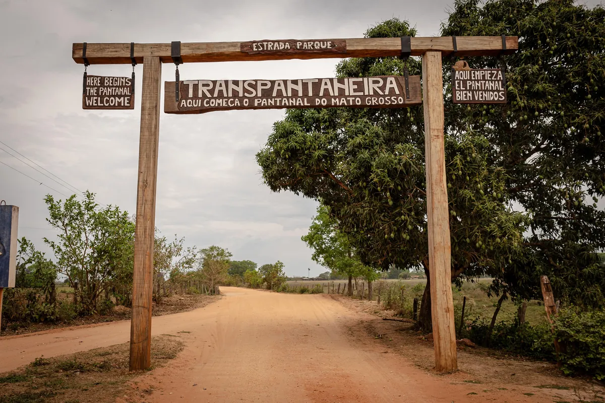 Self Drive Trip along the Transpantaniera Highway in the Brazilian Pantanal