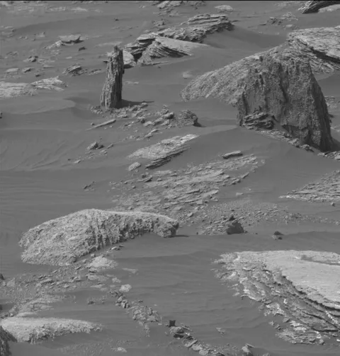 The famous image "Tree on Mars" - Curiosity captured this image on Sol 1647 