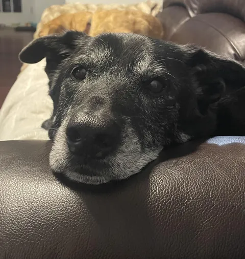 “Hi guys. Mom says the internet loves me. So I love you, and hope you have a good day.”