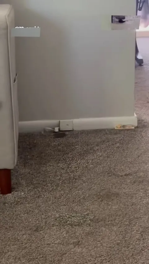 the trap isn't really helping