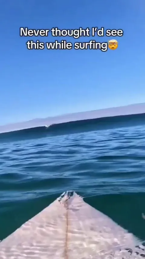 Bro casually recorded the greatest clip of all time by accident