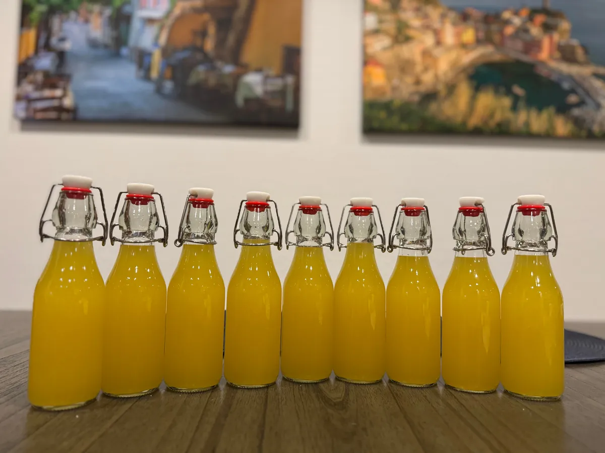 [Homemade] Limoncello