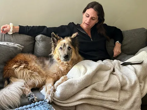 Celebrating two years with Snacks, our big goofy rescue dog