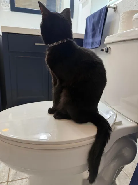 Bobbi has never in her 7 months of life let her hatred of water get in the way of her clinginess.