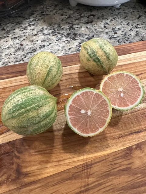 Just tried my first variegated lemons and they’re amazing!