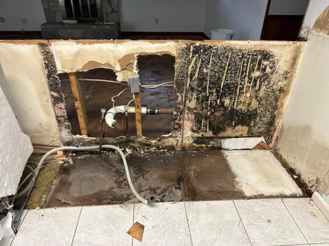 Paid extra for mold testing on my home inspection and it came back just fine