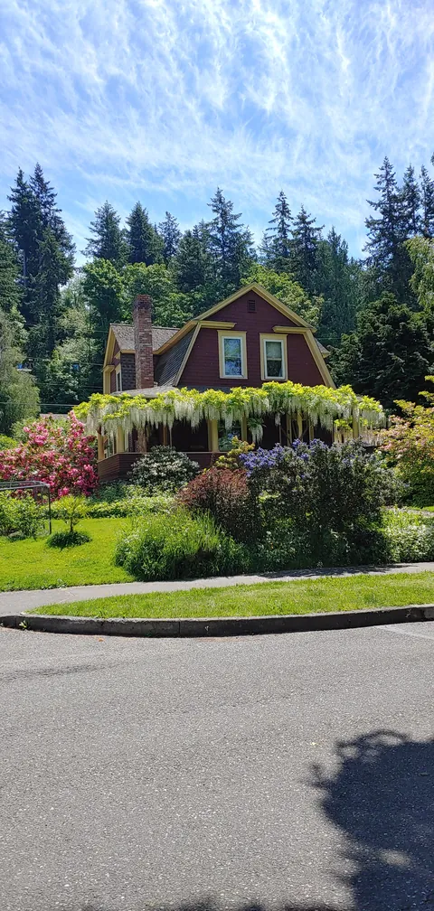 So friggen cute- Bellingham WA