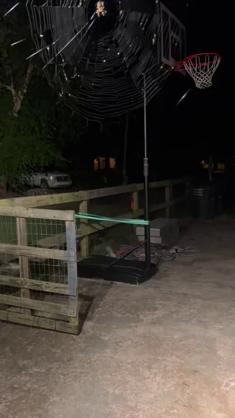 🔥Perfect spider web on my front porch. Not sure what kind of spider it is tho