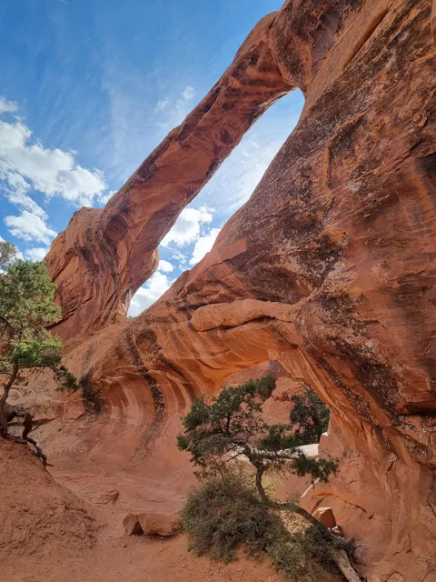 Arches NP, Utah [OC][3000x4000]
