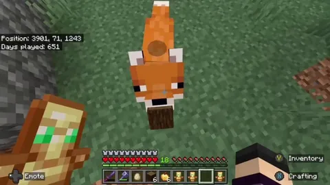 Did this fox just eat my god apple