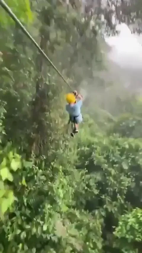 Boy Collides With a Sloth on Zipline in Costa Rica Jungle