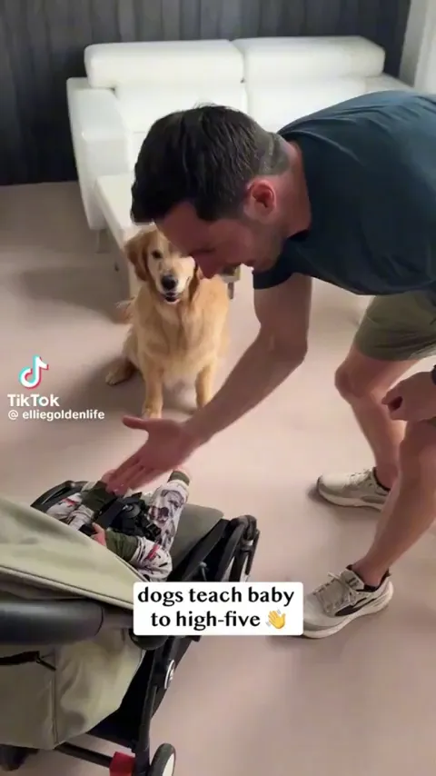 Dogs teach baby to hi-five