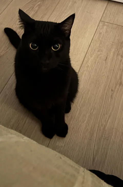 Don’t have a valentine?