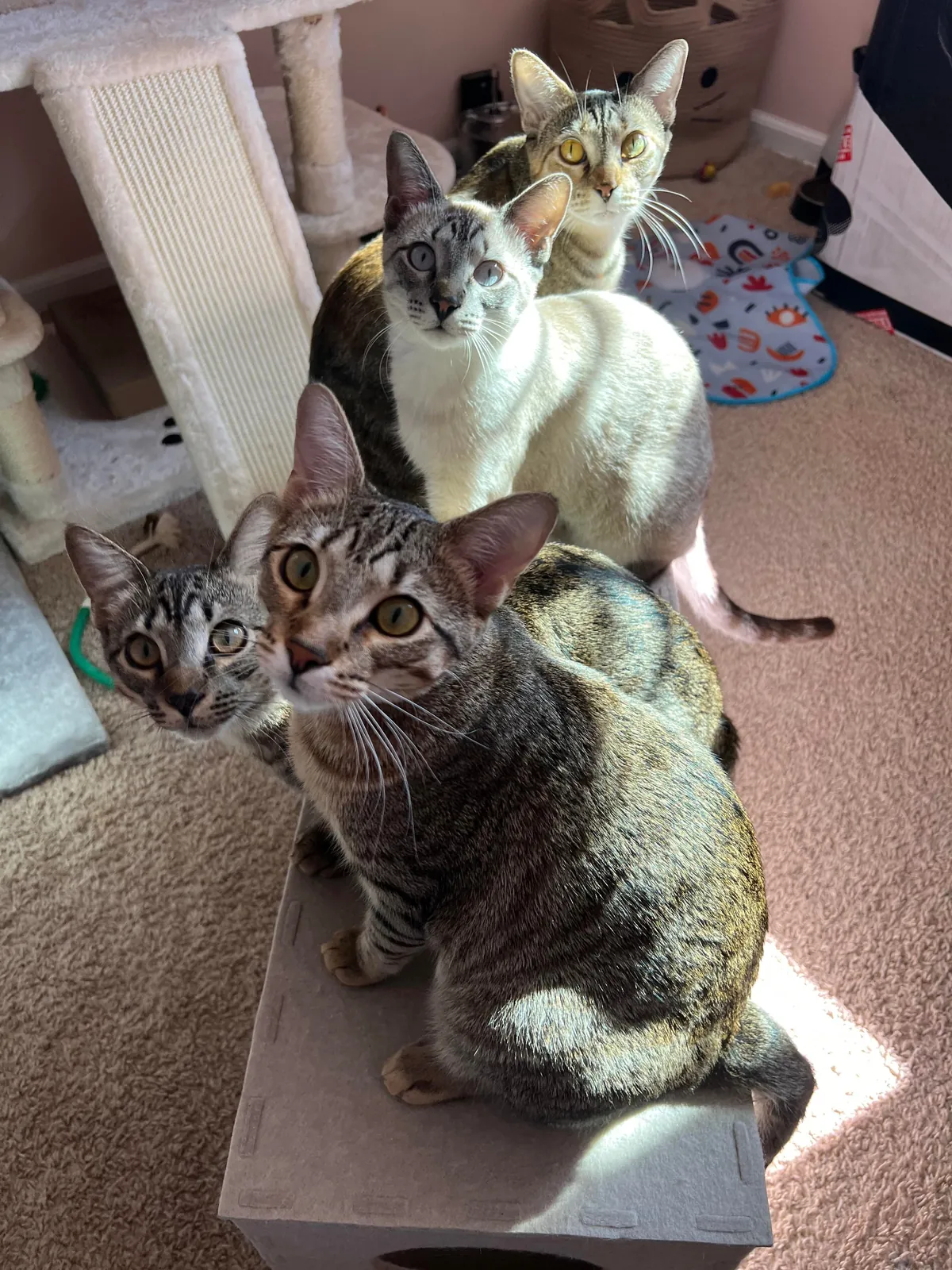 Kept the family together