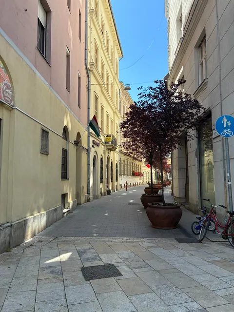 Hungary in June 2025 (Budapest)