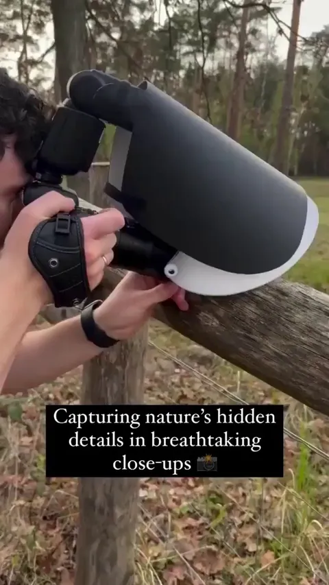 Macrophotograpy Captures the Real Faces of Insects