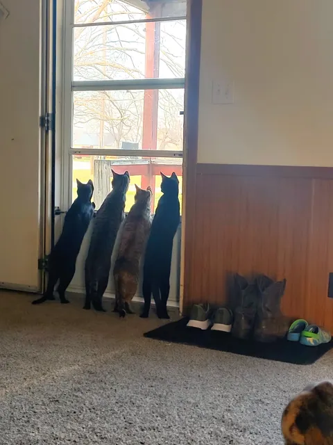 Omfg stop it, I can't handle the cuteness!!!