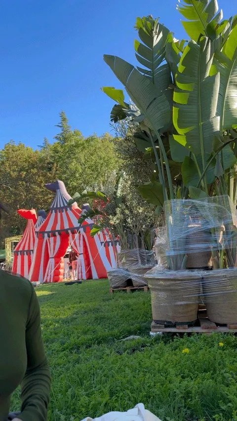 Flashing and enjoying the best burgers of the year