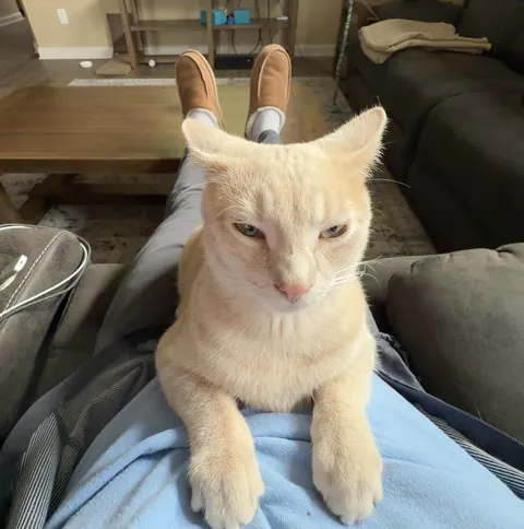 I don’t think he wanted his picture taken