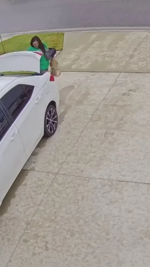 Hungry Woman learns the effects of gravity on fried chicken—the hard way. F = G(m1×m2) / r²