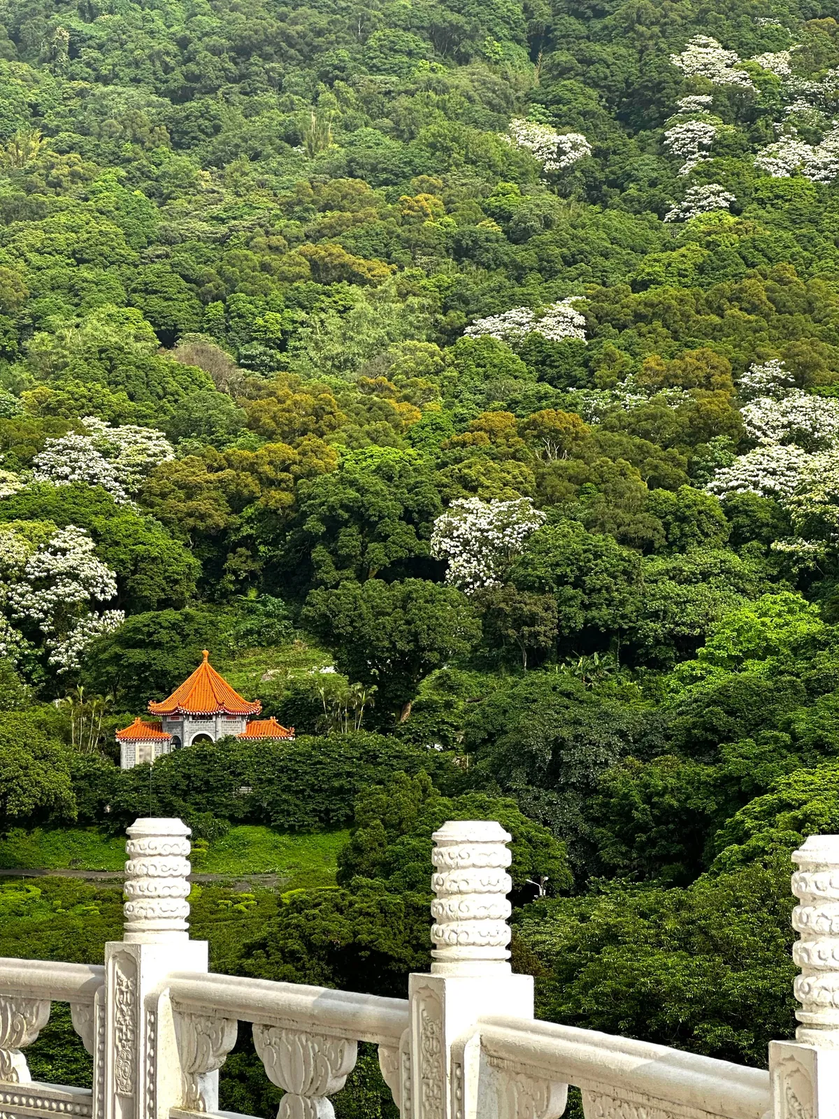 Taiwan blew us away- one of the most underrated hidden gem