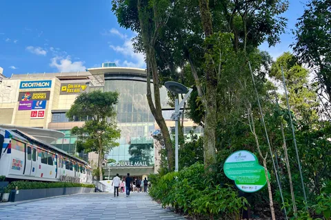 Should microforests be built in order to lower urban temperature?