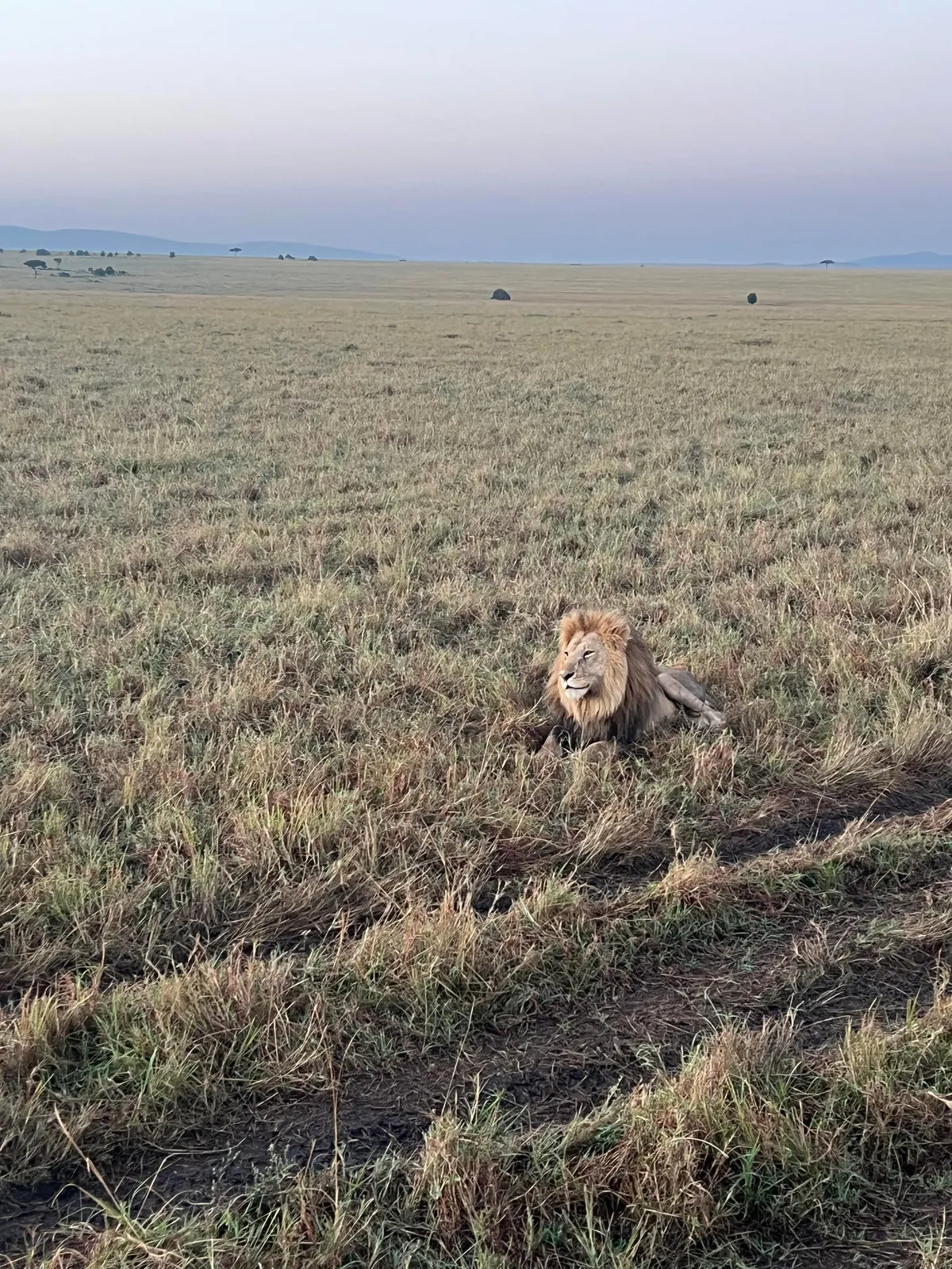 First safari experience, and I’m so happy we chose Kenya (2025)