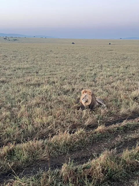 First safari experience, and I’m so happy we chose Kenya (2025)