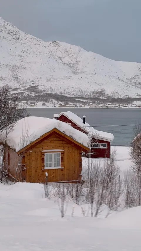 Backyard views in Northern Norway