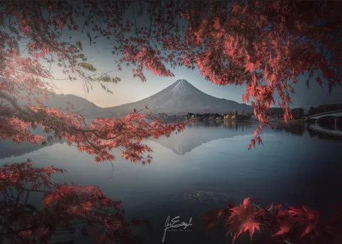 ITAP of Mount Fuji through some Japanese maple leaves