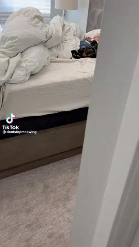 This made my whole week. ❤️. Cat is having snuggle time