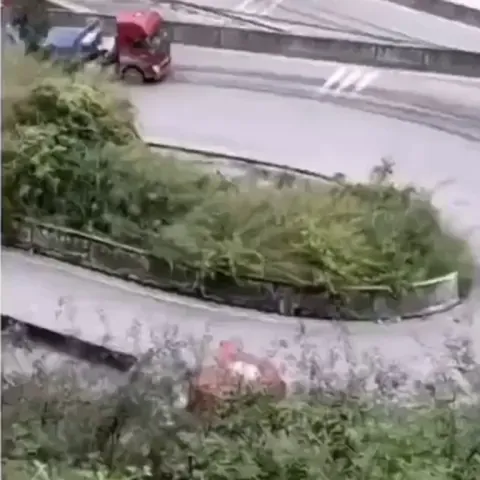 You may now kiss the bride