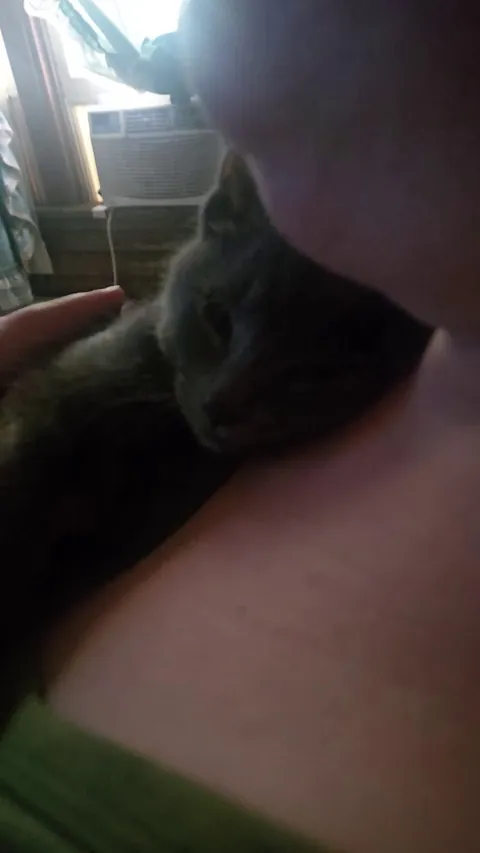 He sounds like a small generator.. this is good, right?