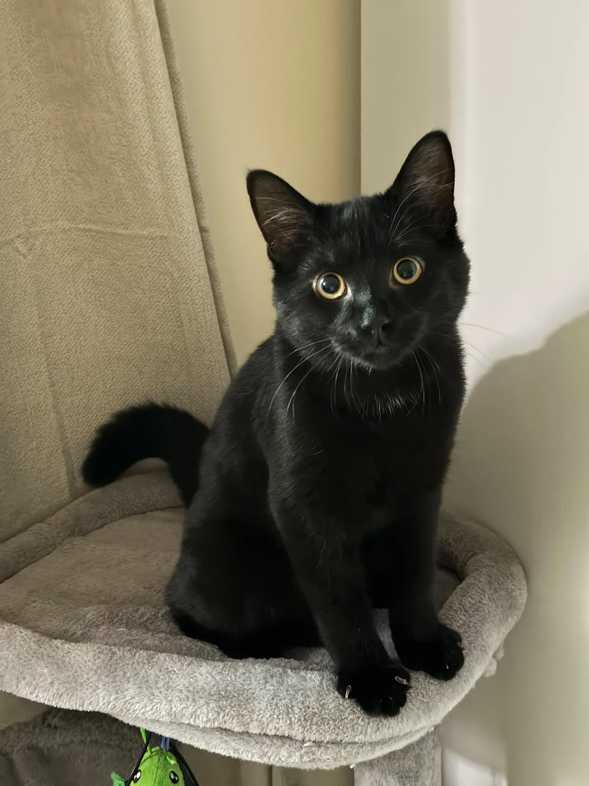 Uncle Ruckus said Happy Monday 