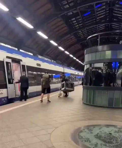 Fully loaded passenger accompanied by goose boards train, goose can't make it, door closes and...