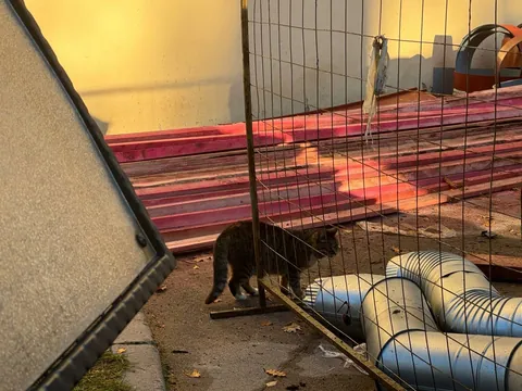 tough day of a construction worker