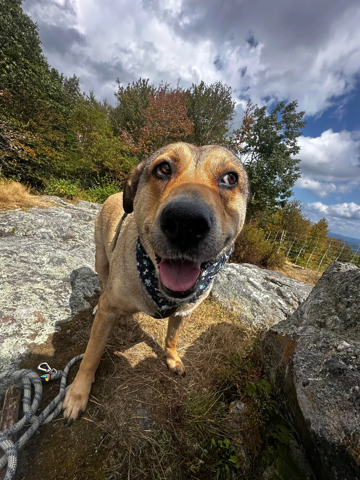 i big lazy baby until i hears ‘hike’