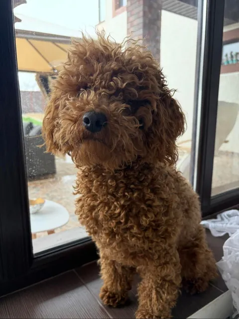 My smol loaf 1y ago &amp; now 🐻