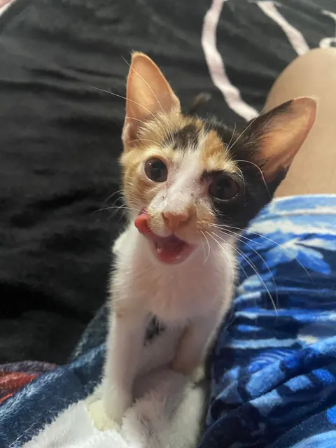 She saved me from committing suicide and gave me a reason to live.