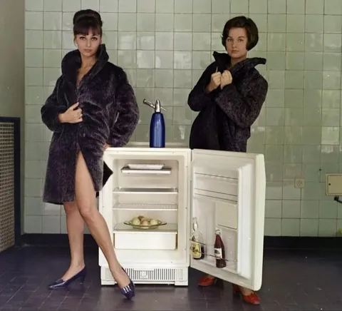 Models posing for Hungarian refrigerator advertisement in 1969