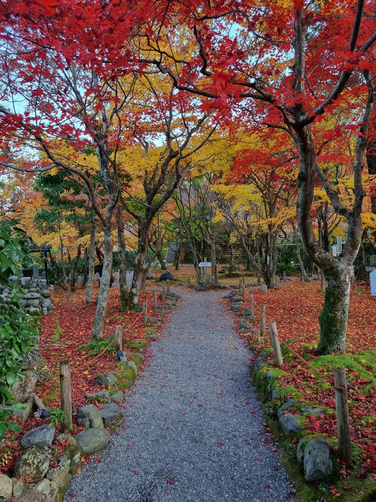 Walked into this view as soon as we entered a temple garden. I audibly gasped.