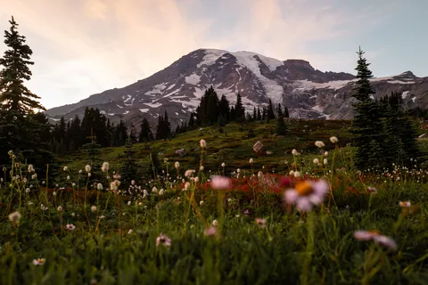 Mount Rainier National Park, WA [OC][6000x4000]