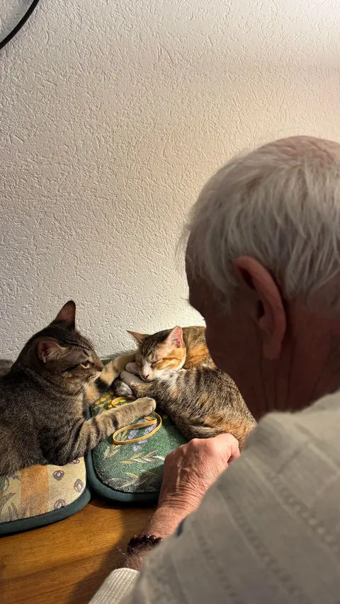 From the streets of Tunisia to the Alps, these two little rescued siblings finally found peace