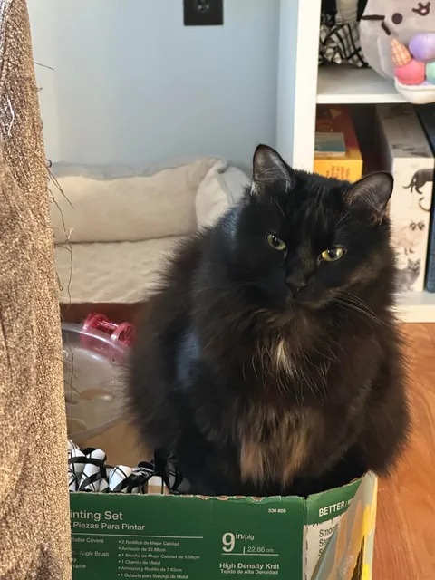 Happy 1st Birthday Lucky!