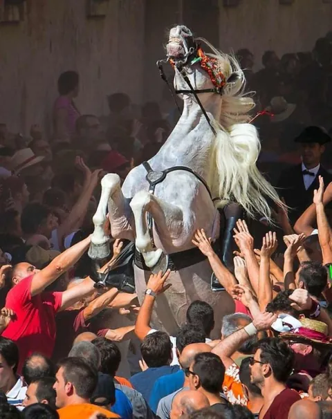 I took some pics from r/AccidentalRenaissance and turned them into Renaissance paintings