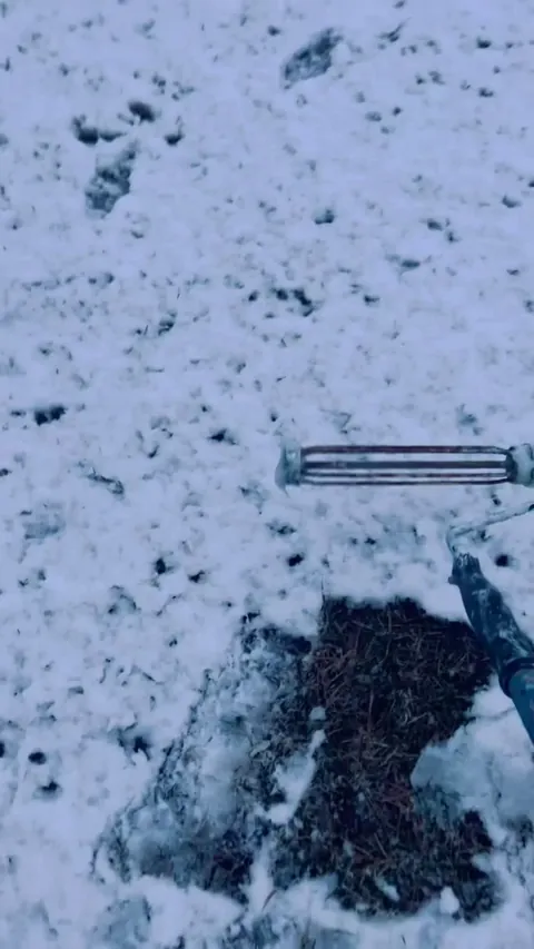 Rolling up snow with a paint roller