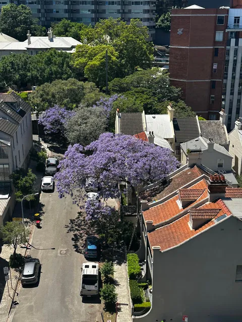 First time in Australia - it was a blast!