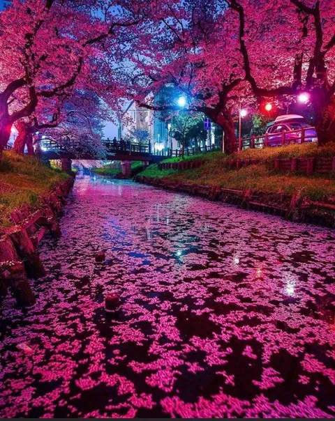 The beauty of Japan