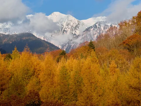Mt. Fuji and the Japanese Alps in Autumn, Japan